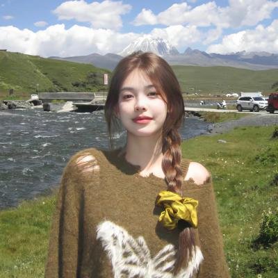 威尼斯计划